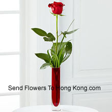 A Single Red Rose In A Red Test Tube Vase Delivered in Hong Kong