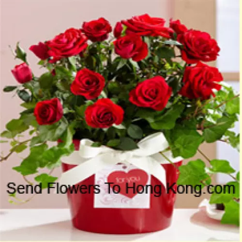 Un bel arrangement de 18 roses rouges avec des remplissages saisonniers