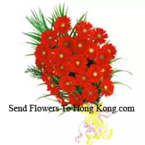 Bouquet de 24 Gerberas rouges