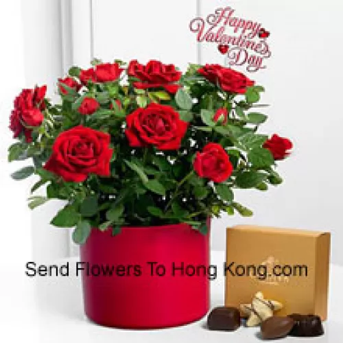 24 roses rouges avec des fougères dans un grand vase et une boîte de chocolats Godiva (Nous nous réservons le droit de substituer les chocolats Godiva par des chocolats de valeur égale en cas de non disponibilité. Stock limité)